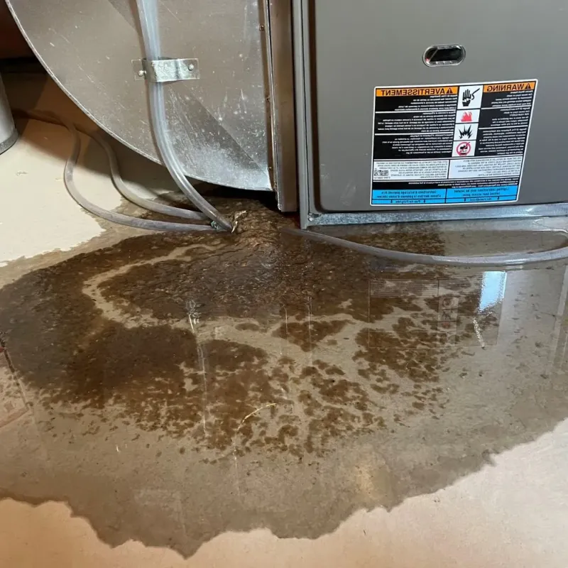 Pipe Burst and Leak Restoration in Shoal Creek, AL