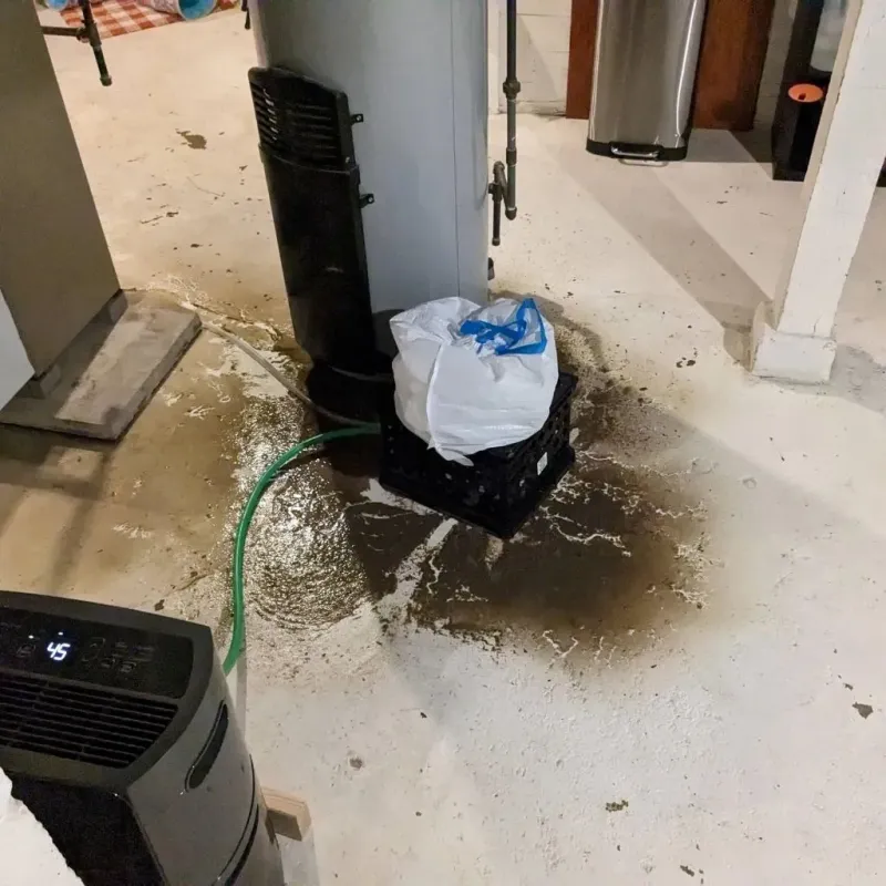 Sewage Backup Cleanup Service in Shoal Creek, AL